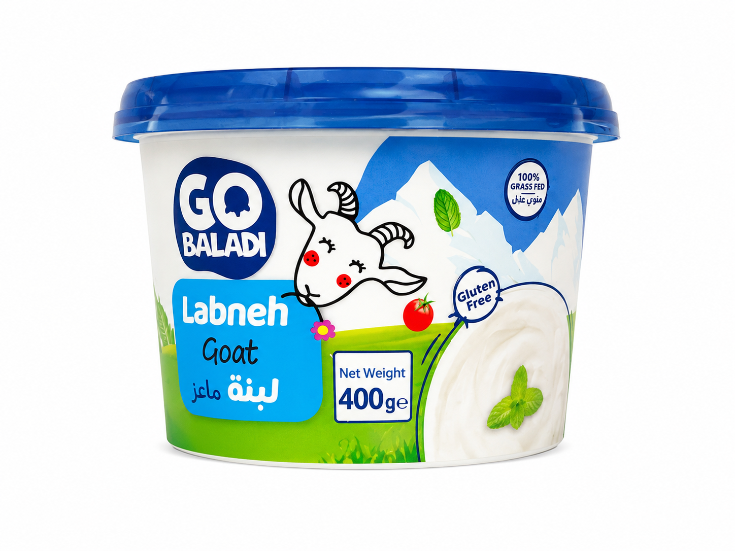 10 Go Baladi Labneh de Chevre - Image 1