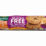 Gluten Free Orange Oats Cookies